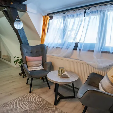 公寓 Barrique Milescu 5 布拉索夫