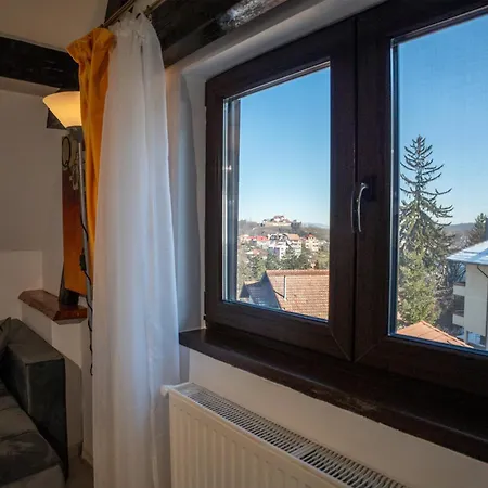 公寓 Barrique Milescu 5