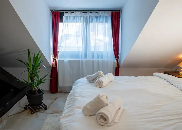 Barrique Milescu 5 布拉索夫