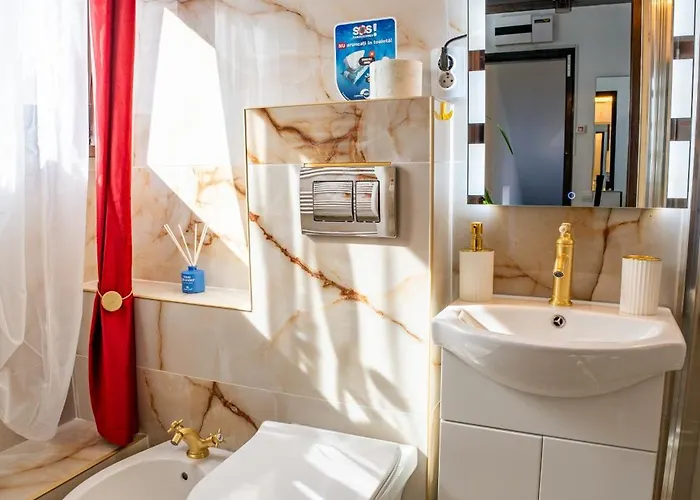 Barrique Milescu 5 公寓 *