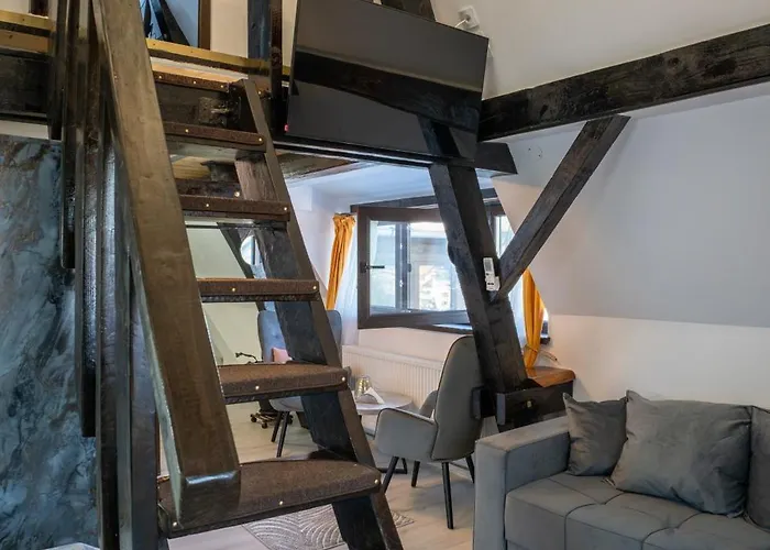 Barrique Milescu 5 * 布拉索夫