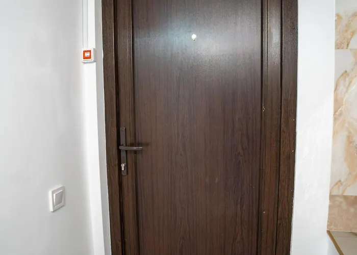 Barrique Milescu 5 公寓 布拉索夫