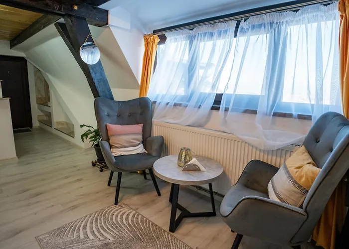 公寓 Barrique Milescu 5 布拉索夫