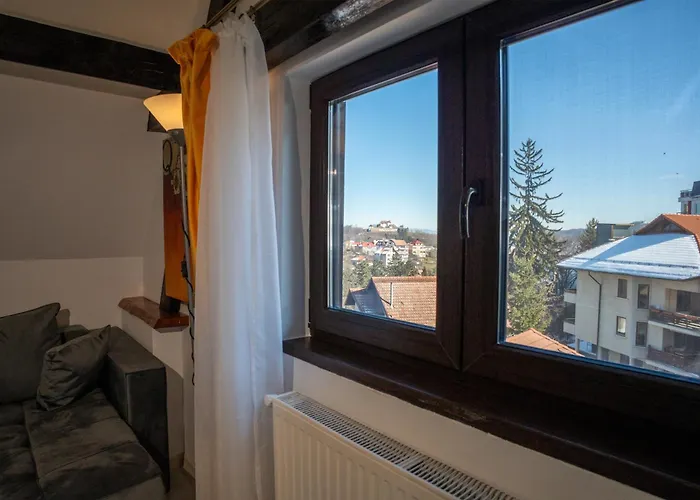 公寓 Barrique Milescu 5