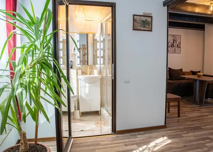 公寓 Barrique Milescu 5 *