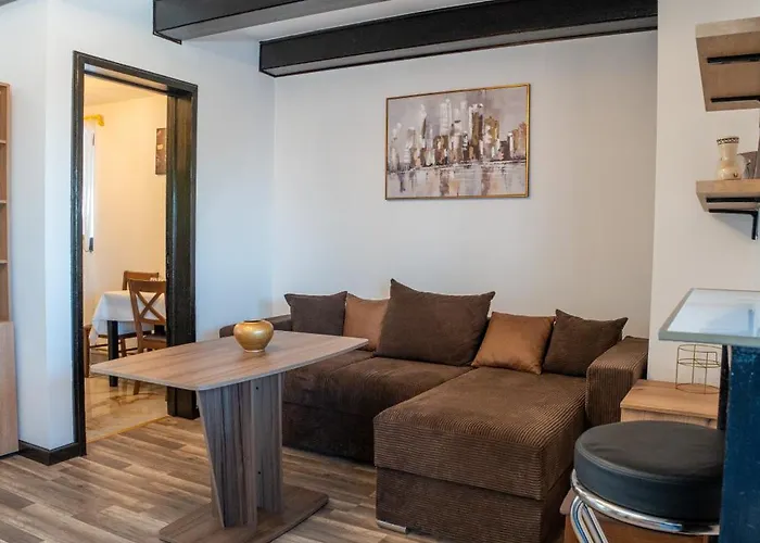 公寓 Barrique Milescu 5 布拉索夫