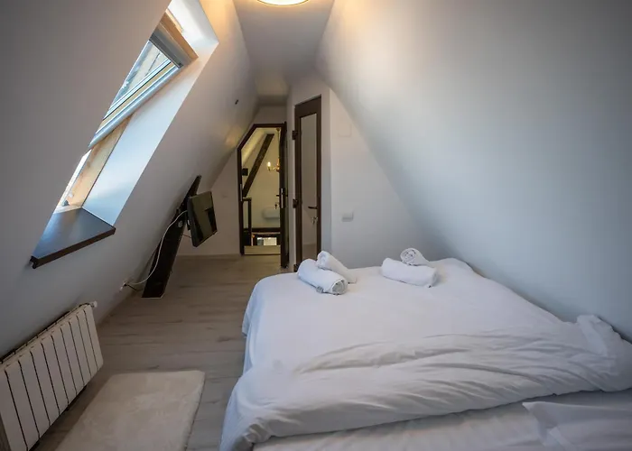 公寓 Barrique Milescu 5 布拉索夫