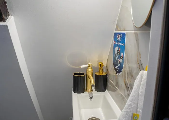 公寓 Barrique Milescu 5 *