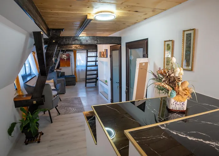 公寓 Barrique Milescu 5 *