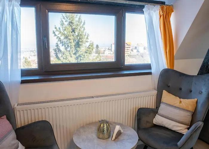 公寓 Barrique Milescu 5 *