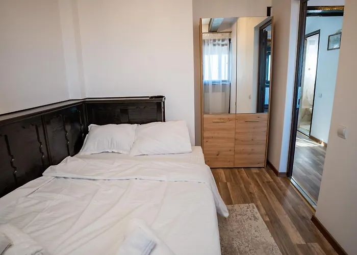 Barrique Milescu 5 * 布拉索夫