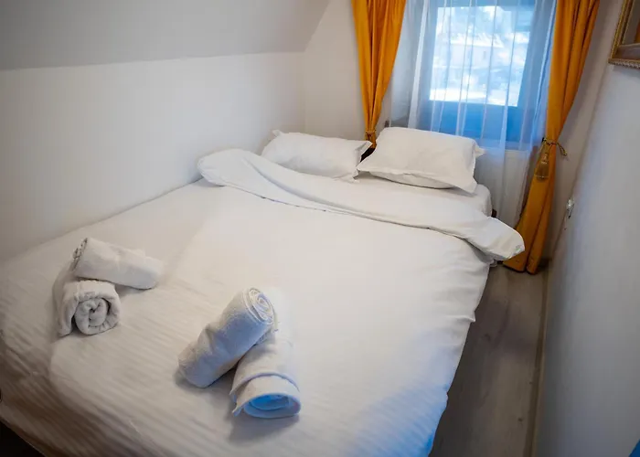 公寓 Barrique Milescu 5 布拉索夫