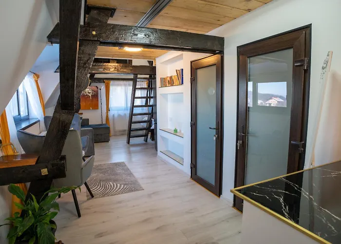 Barrique Milescu 5 公寓 布拉索夫