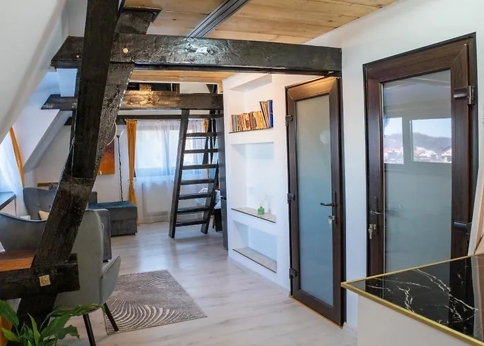 公寓 Barrique Milescu 5 布拉索夫