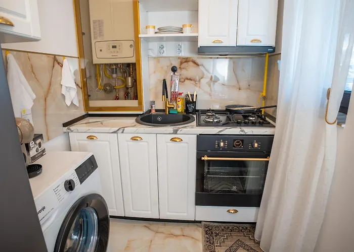 Barrique Milescu 5 公寓