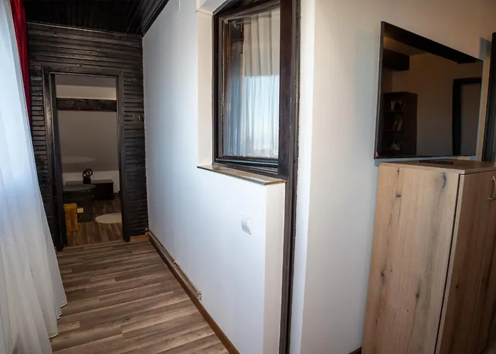 Barrique Milescu 5 * 布拉索夫