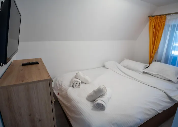 Barrique Milescu 5 公寓 布拉索夫