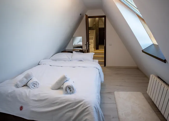 Barrique Milescu 5 布拉索夫