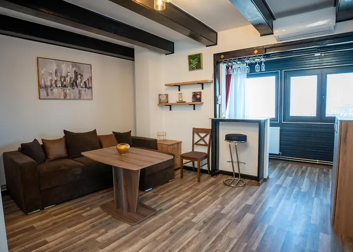 Barrique Milescu 5 公寓 布拉索夫