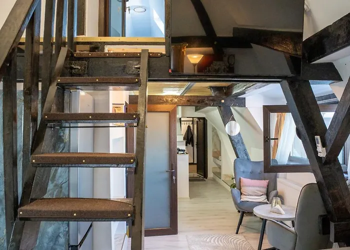 公寓 Barrique Milescu 5