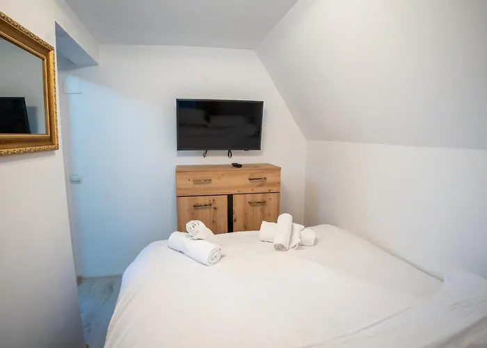 Barrique Milescu 5 公寓 布拉索夫