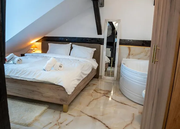 公寓 Barrique Milescu 5 布拉索夫