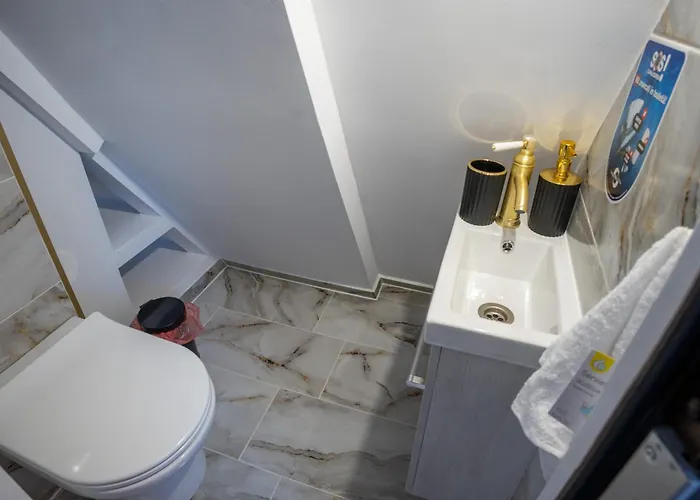 Barrique Milescu 5 * 布拉索夫