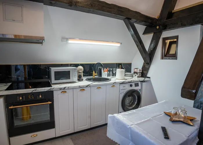 Barrique Milescu 5 公寓 布拉索夫