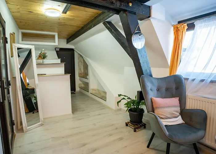 公寓 Barrique Milescu 5 *