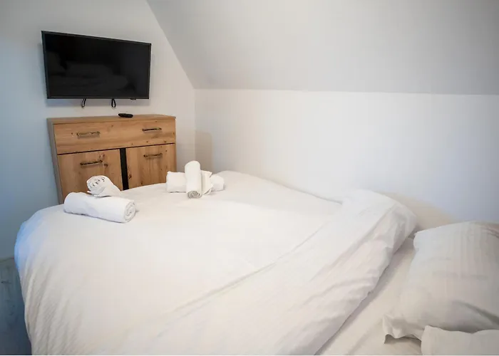 Barrique Milescu 5 * 布拉索夫