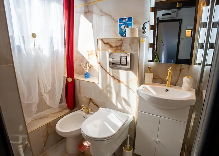 公寓 Barrique Milescu 5 布拉索夫