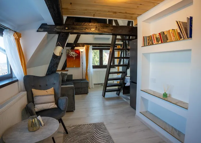 Barrique Milescu 5 公寓