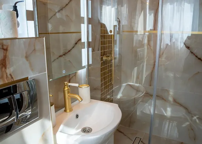 Barrique Milescu 5 * 布拉索夫