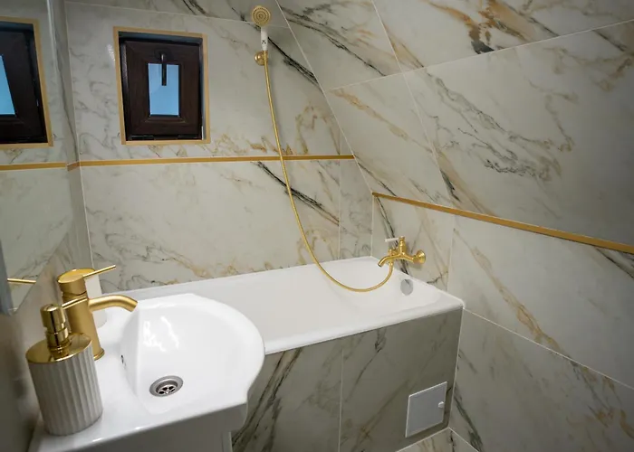 Barrique Milescu 5 公寓 *