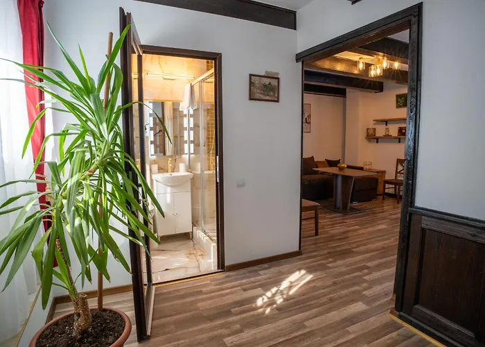 Barrique Milescu 5 布拉索夫