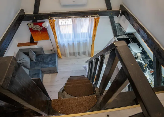 Barrique Milescu 5 * 布拉索夫