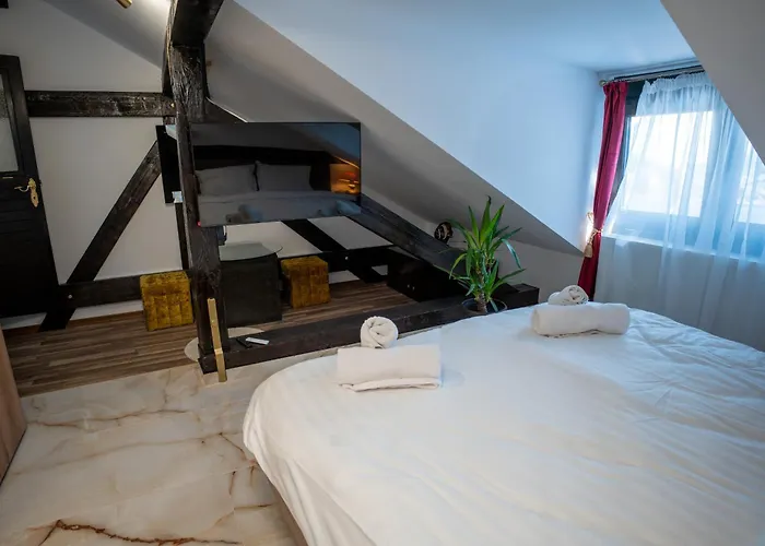 Barrique Milescu 5 公寓 *